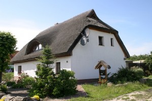 thatched roof building Ashburton